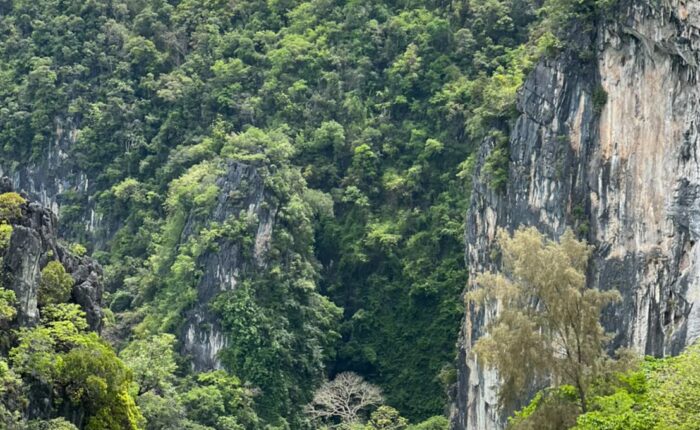 Hong Island swimming snorkeling speedboat trip Sea Eagle tour Krabi