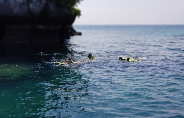 Snorkeling activity Phi Phi leh Phi Phi Islands private speedboat trip