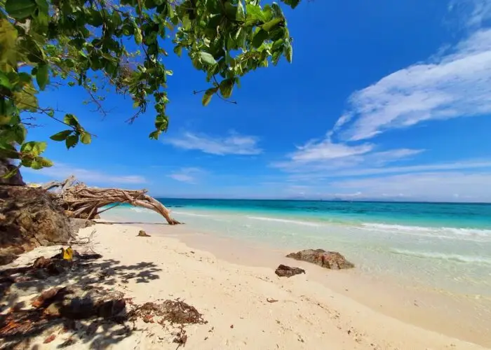 Bamboo Island Phi phi Islands Krabi speedboat trip